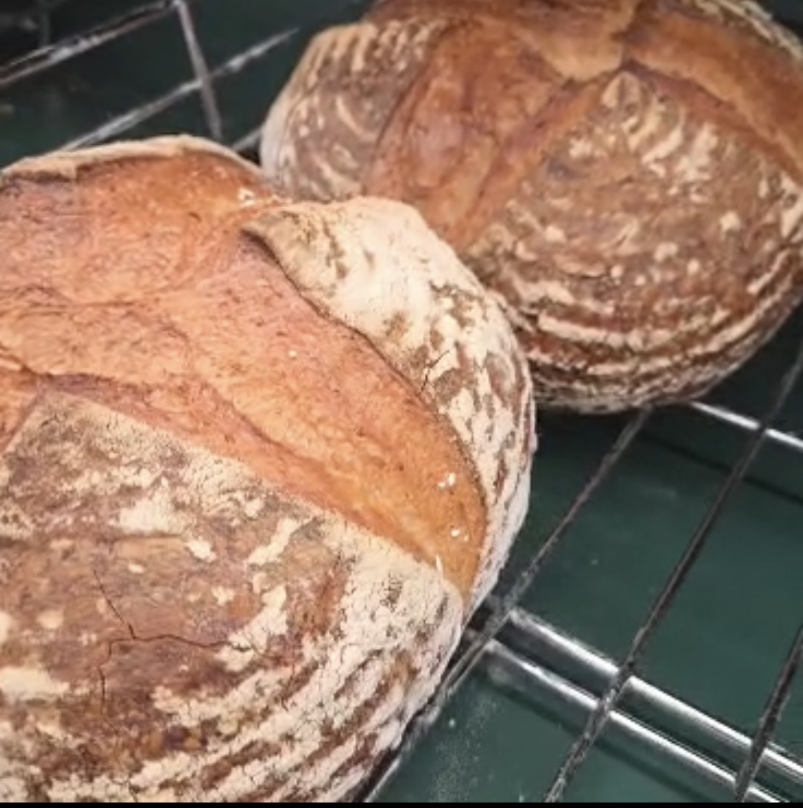 Bakery Production Line Planning | Complete Commercial Bakery Setup Guide