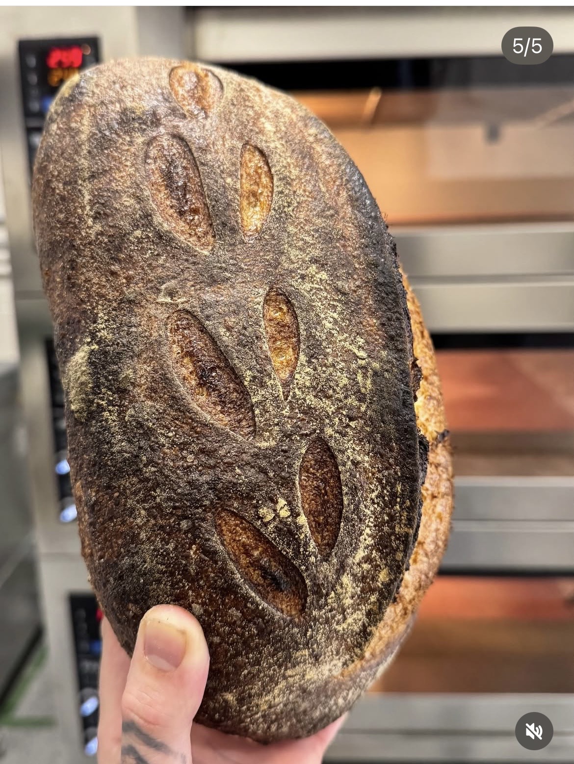 Equipment Selection | Bakery Equipment Planning Canada & USA